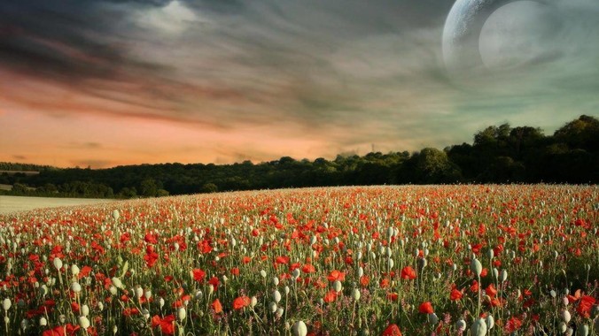 为什么长得漂亮却没什么用?